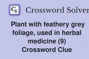 Herbal Remedy Plant: Crossword Clue Solver's Guide Tips The Ultimate Herbal Remedies Guide: Natural Healing for a Healthier Life Herbal Remedy Plant: Crossword Clue Solver's Guide Tips | The Ultimate Herbal Remedies Guide: Natural Healing for a Healthier Life