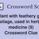 Herbal Remedy Plant: Crossword Clue Solver's Guide Tips | The Ultimate Herbal Remedies Guide: Natural Healing for a Healthier Life