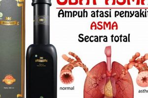 Natural Asma Herbal Relief: Breathe Easy Now The Ultimate Herbal Remedies Guide: Natural Healing for a Healthier Life Natural Asma Herbal Relief: Breathe Easy Now | The Ultimate Herbal Remedies Guide: Natural Healing for a Healthier Life