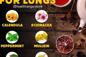Top Herbs: Best Herbal Tea for Lungs & Breathing Tips The Ultimate Herbal Remedies Guide: Natural Healing for a Healthier Life Top Herbs: Best Herbal Tea for Lungs & Breathing Tips | The Ultimate Herbal Remedies Guide: Natural Healing for a Healthier Life