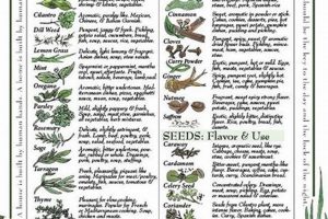 Herbal Knowledge Chart: Your Guide + Benefits The Ultimate Herbal Remedies Guide: Natural Healing for a Healthier Life Herbal Knowledge Chart: Your Guide + Benefits | The Ultimate Herbal Remedies Guide: Natural Healing for a Healthier Life