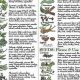 Herbal Knowledge Chart: Your Guide + Benefits | The Ultimate Herbal Remedies Guide: Natural Healing for a Healthier Life