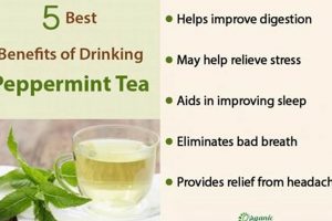 Unlock Herbal Peppermint Tea Benefits: Relief + More! The Ultimate Herbal Remedies Guide: Natural Healing for a Healthier Life Unlock Herbal Peppermint Tea Benefits: Relief + More! | The Ultimate Herbal Remedies Guide: Natural Healing for a Healthier Life