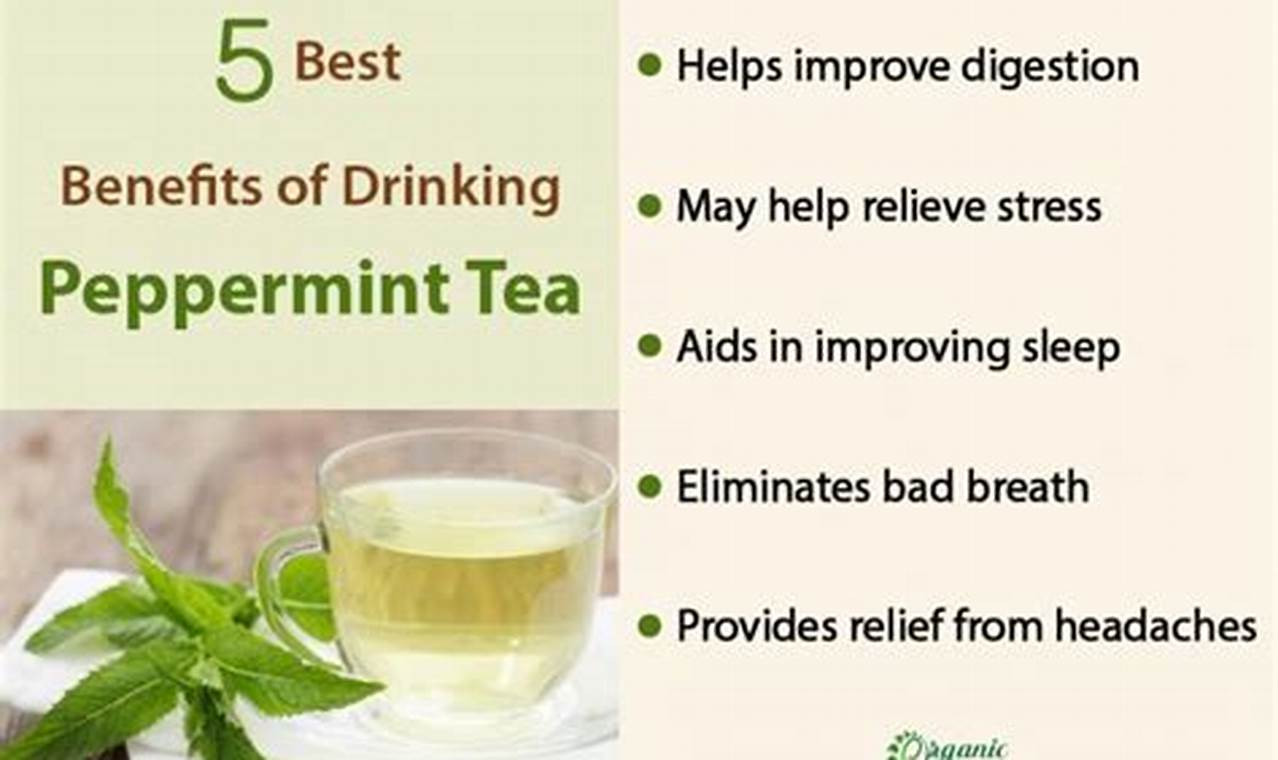 Unlock Herbal Peppermint Tea Benefits: Relief + More! The Ultimate Herbal Remedies Guide: Natural Healing for a Healthier Life Unlock Herbal Peppermint Tea Benefits: Relief + More! | The Ultimate Herbal Remedies Guide: Natural Healing for a Healthier Life