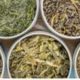 Tea Time: How Long Does Herbal Tea Last in the Fridge? & Tips | The Ultimate Herbal Remedies Guide: Natural Healing for a Healthier Life