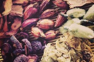 Explore Premier Chinese Herbal Medicine in Melbourne The Ultimate Herbal Remedies Guide: Natural Healing for a Healthier Life Explore Premier Chinese Herbal Medicine in Melbourne | The Ultimate Herbal Remedies Guide: Natural Healing for a Healthier Life