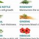 Best Herbals for Hair Loss: Regrow Your Hair Now! | The Ultimate Herbal Remedies Guide: Natural Healing for a Healthier Life
