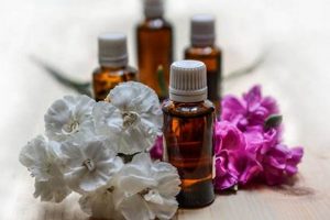 Smiley Time Herbals: Natural Wellness & Joyful Living The Ultimate Herbal Remedies Guide: Natural Healing for a Healthier Life Smiley Time Herbals: Natural Wellness & Joyful Living | The Ultimate Herbal Remedies Guide: Natural Healing for a Healthier Life