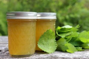 The Ultimate Guide: What is Herbal Jelly? + Benefits The Ultimate Herbal Remedies Guide: Natural Healing for a Healthier Life The Ultimate Guide: What is Herbal Jelly? + Benefits | The Ultimate Herbal Remedies Guide: Natural Healing for a Healthier Life