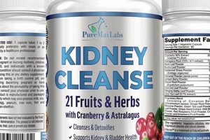 Best Herbal Kidney Cleanse: Gentle Renal Support The Ultimate Herbal Remedies Guide: Natural Healing for a Healthier Life Best Herbal Kidney Cleanse: Gentle Renal Support | The Ultimate Herbal Remedies Guide: Natural Healing for a Healthier Life