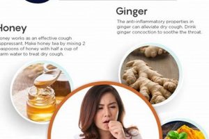 Best Herbal Cough Remedy: Natural Relief Guide The Ultimate Herbal Remedies Guide: Natural Healing for a Healthier Life Best Herbal Cough Remedy: Natural Relief Guide | The Ultimate Herbal Remedies Guide: Natural Healing for a Healthier Life