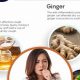 Best Herbal Cough Remedy: Natural Relief Guide | The Ultimate Herbal Remedies Guide: Natural Healing for a Healthier Life