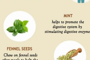 Quick Herbal Remedies for Bloating: Relief + Tips The Ultimate Herbal Remedies Guide: Natural Healing for a Healthier Life Quick Herbal Remedies for Bloating: Relief + Tips | The Ultimate Herbal Remedies Guide: Natural Healing for a Healthier Life