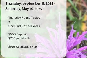 Top Herbalism Programs: Your Path to Herbal Expertise The Ultimate Herbal Remedies Guide: Natural Healing for a Healthier Life Top Herbalism Programs: Your Path to Herbal Expertise | The Ultimate Herbal Remedies Guide: Natural Healing for a Healthier Life