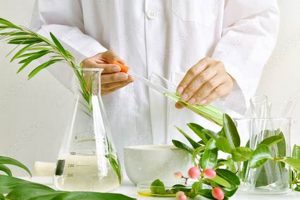 Why Herbal Medicine Research Matters + Benefits The Ultimate Herbal Remedies Guide: Natural Healing for a Healthier Life Why Herbal Medicine Research Matters + Benefits | The Ultimate Herbal Remedies Guide: Natural Healing for a Healthier Life
