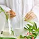 Why Herbal Medicine Research Matters + Benefits | The Ultimate Herbal Remedies Guide: Natural Healing for a Healthier Life
