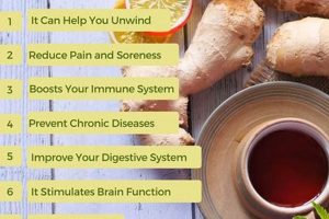 Best Herbal Tea for Digestive Issues: Your Gut Guide The Ultimate Herbal Remedies Guide: Natural Healing for a Healthier Life Best Herbal Tea for Digestive Issues: Your Gut Guide | The Ultimate Herbal Remedies Guide: Natural Healing for a Healthier Life