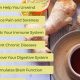 Best Herbal Tea for Digestive Issues: Your Gut Guide | The Ultimate Herbal Remedies Guide: Natural Healing for a Healthier Life