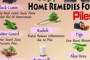 Natural Herbal Remedies for Piles: A Quick Guide The Ultimate Herbal Remedies Guide: Natural Healing for a Healthier Life Natural Herbal Remedies for Piles: A Quick Guide | The Ultimate Herbal Remedies Guide: Natural Healing for a Healthier Life