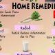 Natural Herbal Remedies for Piles: A Quick Guide | The Ultimate Herbal Remedies Guide: Natural Healing for a Healthier Life
