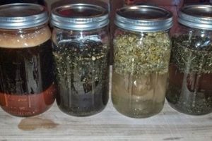 Easy How to Make Herbal Tinctures + Uses & Benefits The Ultimate Herbal Remedies Guide: Natural Healing for a Healthier Life Easy How to Make Herbal Tinctures + Uses & Benefits | The Ultimate Herbal Remedies Guide: Natural Healing for a Healthier Life