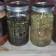 Easy How to Make Herbal Tinctures + Uses & Benefits | The Ultimate Herbal Remedies Guide: Natural Healing for a Healthier Life