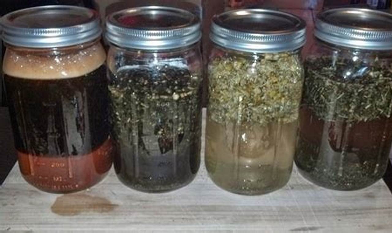 Easy How to Make Herbal Tinctures + Uses & Benefits The Ultimate Herbal Remedies Guide: Natural Healing for a Healthier Life Easy How to Make Herbal Tinctures + Uses & Benefits | The Ultimate Herbal Remedies Guide: Natural Healing for a Healthier Life