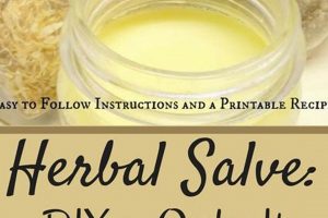Natural Relief: What Is Herbal Salve Used For + Recipes The Ultimate Herbal Remedies Guide: Natural Healing for a Healthier Life Natural Relief: What Is Herbal Salve Used For + Recipes | The Ultimate Herbal Remedies Guide: Natural Healing for a Healthier Life