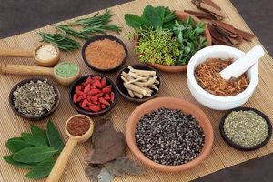 Learn Herbal Ed: Natural Remedies & Education The Ultimate Herbal Remedies Guide: Natural Healing for a Healthier Life Learn Herbal Ed: Natural Remedies & Education | The Ultimate Herbal Remedies Guide: Natural Healing for a Healthier Life