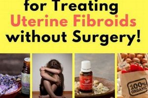 Natural Herbal Treatment for Uterine Fibroids: A Guide The Ultimate Herbal Remedies Guide: Natural Healing for a Healthier Life Natural Herbal Treatment for Uterine Fibroids: A Guide | The Ultimate Herbal Remedies Guide: Natural Healing for a Healthier Life