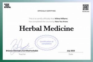 Your Herbal Medicine Certification Journey + Benefits The Ultimate Herbal Remedies Guide: Natural Healing for a Healthier Life Your Herbal Medicine Certification Journey + Benefits | The Ultimate Herbal Remedies Guide: Natural Healing for a Healthier Life