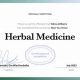 Your Herbal Medicine Certification Journey + Benefits | The Ultimate Herbal Remedies Guide: Natural Healing for a Healthier Life