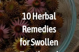 Natural Tonsillitis Herbal Remedies: Soothe Your Sore Throat The Ultimate Herbal Remedies Guide: Natural Healing for a Healthier Life Natural Tonsillitis Herbal Remedies: Soothe Your Sore Throat | The Ultimate Herbal Remedies Guide: Natural Healing for a Healthier Life