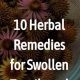 Natural Tonsillitis Herbal Remedies: Soothe Your Sore Throat | The Ultimate Herbal Remedies Guide: Natural Healing for a Healthier Life