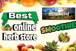 Your Guide: Best Online Herbal Store + Benefits The Ultimate Herbal Remedies Guide: Natural Healing for a Healthier Life Your Guide: Best Online Herbal Store + Benefits | The Ultimate Herbal Remedies Guide: Natural Healing for a Healthier Life