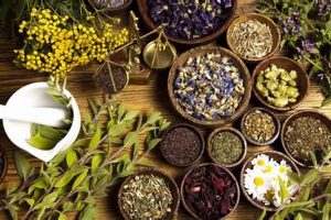 Nature's Herbal Wallpaper: Botanical Wall Decor Ideas The Ultimate Herbal Remedies Guide: Natural Healing for a Healthier Life Nature's Herbal Wallpaper: Botanical Wall Decor Ideas | The Ultimate Herbal Remedies Guide: Natural Healing for a Healthier Life