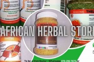 Find: African Herbal Store Near Me - Benefits & Uses The Ultimate Herbal Remedies Guide: Natural Healing for a Healthier Life Find: African Herbal Store Near Me - Benefits & Uses | The Ultimate Herbal Remedies Guide: Natural Healing for a Healthier Life