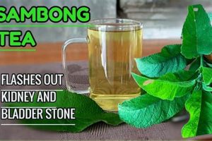 Natural Tea Remedy: Herbal Tea for Kidney Stones Relief The Ultimate Herbal Remedies Guide: Natural Healing for a Healthier Life Natural Tea Remedy: Herbal Tea for Kidney Stones Relief | The Ultimate Herbal Remedies Guide: Natural Healing for a Healthier Life