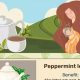 Pregnancy & Tea: What Herbal Teas Are Safe To Drink? | The Ultimate Herbal Remedies Guide: Natural Healing for a Healthier Life