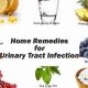 Natural Herbal Remedies for Urine Infection Relief | The Ultimate Herbal Remedies Guide: Natural Healing for a Healthier Life