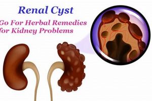 Natural Herbal Treatment for Renal Cysts: A Guide The Ultimate Herbal Remedies Guide: Natural Healing for a Healthier Life Natural Herbal Treatment for Renal Cysts: A Guide | The Ultimate Herbal Remedies Guide: Natural Healing for a Healthier Life