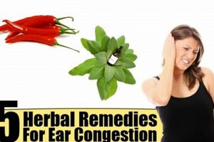 Natural Relief: Herbal Remedies for Ear Congestion Today The Ultimate Herbal Remedies Guide: Natural Healing for a Healthier Life Natural Relief: Herbal Remedies for Ear Congestion Today | The Ultimate Herbal Remedies Guide: Natural Healing for a Healthier Life