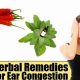 Natural Relief: Herbal Remedies for Ear Congestion Today | The Ultimate Herbal Remedies Guide: Natural Healing for a Healthier Life
