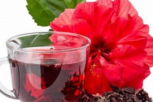 Is Hibiscus Tea Herbal? Benefits & Uses! The Ultimate Herbal Remedies Guide: Natural Healing for a Healthier Life Is Hibiscus Tea Herbal? Benefits & Uses! | The Ultimate Herbal Remedies Guide: Natural Healing for a Healthier Life