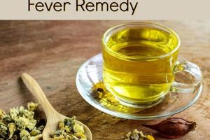 Best Herbal Tea for Fever Relief: Natural Soothers The Ultimate Herbal Remedies Guide: Natural Healing for a Healthier Life Best Herbal Tea for Fever Relief: Natural Soothers | The Ultimate Herbal Remedies Guide: Natural Healing for a Healthier Life