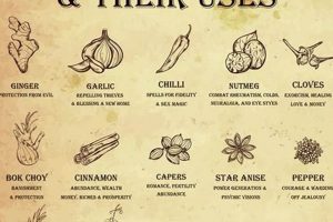 Easy Herbal Spells: Potions, Charms & More The Ultimate Herbal Remedies Guide: Natural Healing for a Healthier Life Easy Herbal Spells: Potions, Charms & More | The Ultimate Herbal Remedies Guide: Natural Healing for a Healthier Life