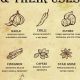 Easy Herbal Spells: Potions, Charms & More | The Ultimate Herbal Remedies Guide: Natural Healing for a Healthier Life