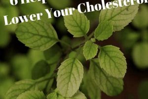 Natural Cholesterol Herbals: Medications & Alternatives The Ultimate Herbal Remedies Guide: Natural Healing for a Healthier Life Natural Cholesterol Herbals: Medications & Alternatives | The Ultimate Herbal Remedies Guide: Natural Healing for a Healthier Life
