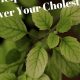 Natural Cholesterol Herbals: Medications &amp; Alternatives | The Ultimate Herbal Remedies Guide: Natural Healing for a Healthier Life