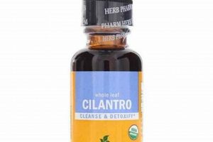 Boost Health: Cilantro Herbal Extract Benefits Now! The Ultimate Herbal Remedies Guide: Natural Healing for a Healthier Life Boost Health: Cilantro Herbal Extract Benefits Now! | The Ultimate Herbal Remedies Guide: Natural Healing for a Healthier Life